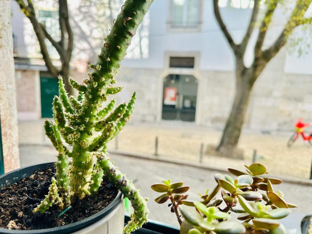 Apartamento Varandas Do Marques Lisboa